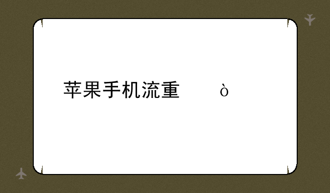 苹果手机流量开关