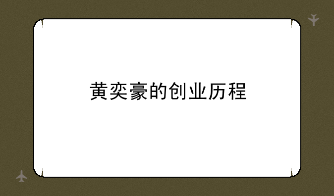 黄奕豪的创业历程