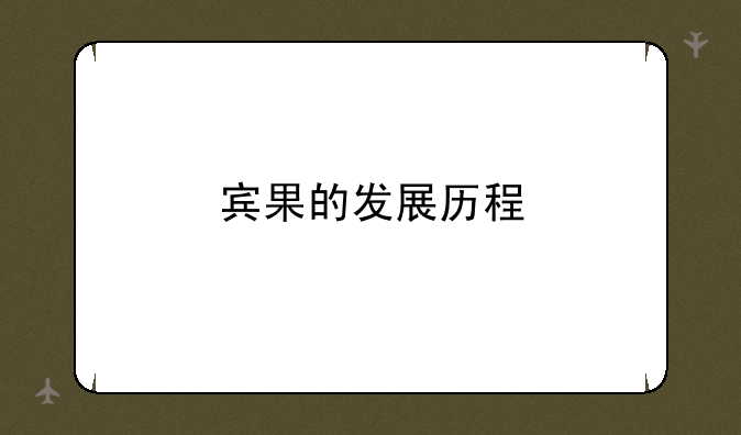 宾果的发展历程