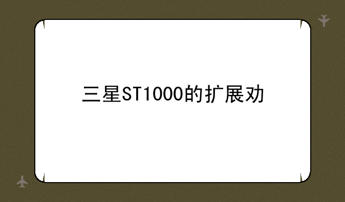 三星ST1000的扩展功能
