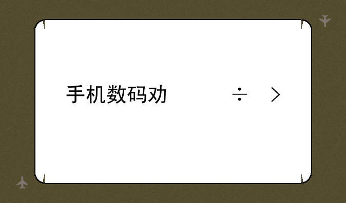 手机数码功能叫什么