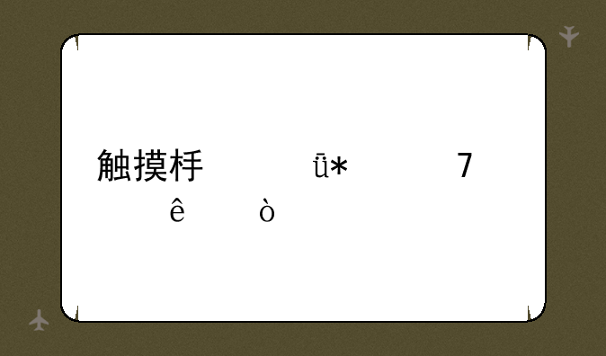 触摸板驱动不见了？