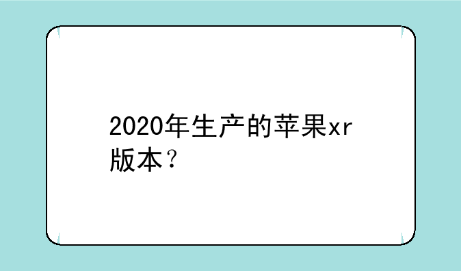 2020年生产的苹果xr版本？