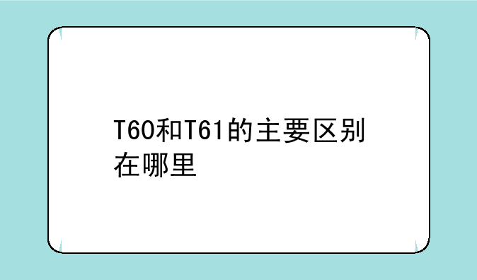 T60和T61的主要区别在哪里