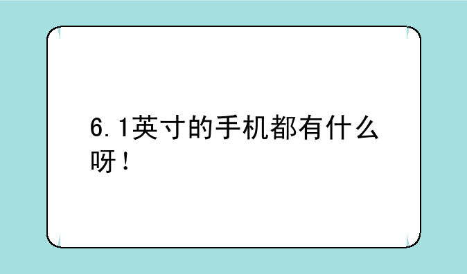 6.1英寸的手机都有什么呀！