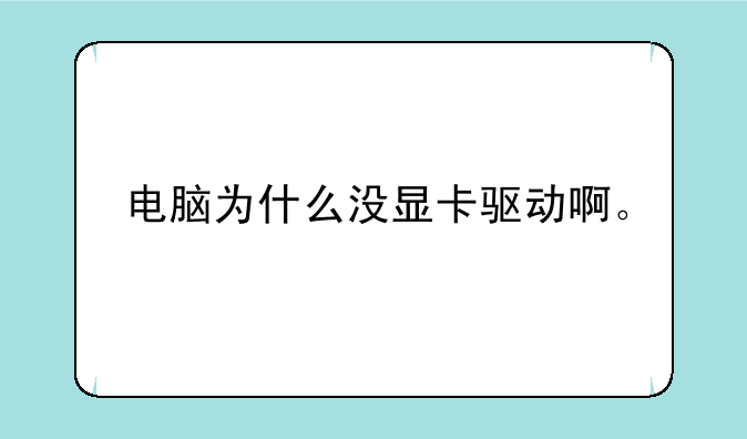 电脑为什么没显卡驱动啊。
