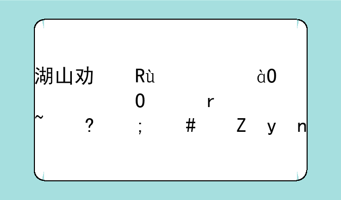 湖山功放avs1080c左声道失真音小怎么修理？