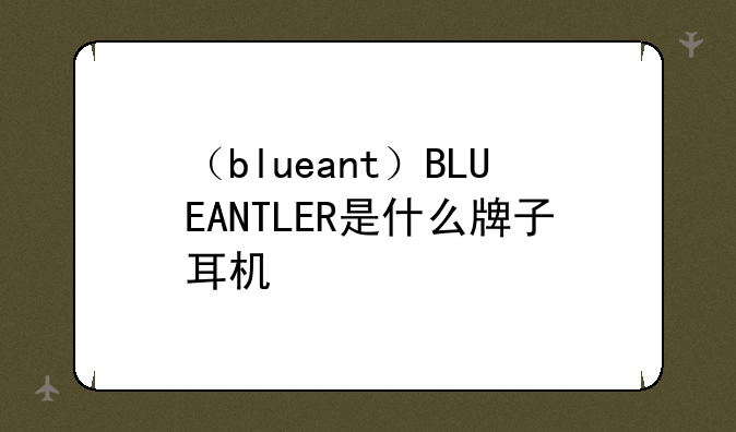 （blueant）BLUEANTLER是什么牌子耳机