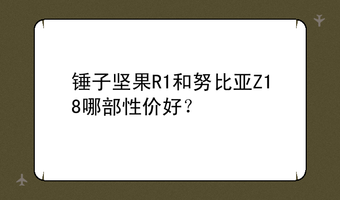 锤子坚果R1和努比亚Z18哪部性价好？