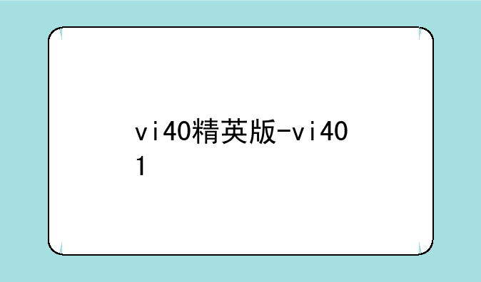 vi40精英版-vi401