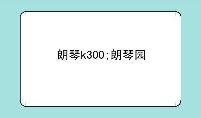 朗琴k300;朗琴园