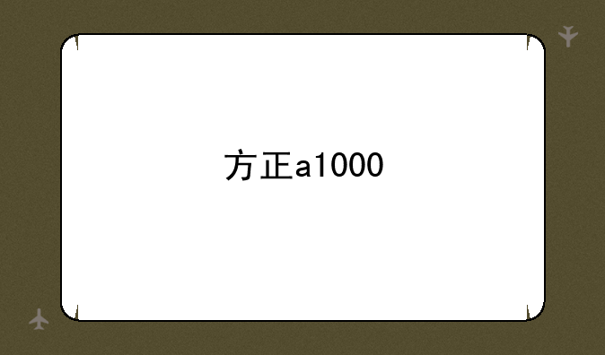 方正a1000