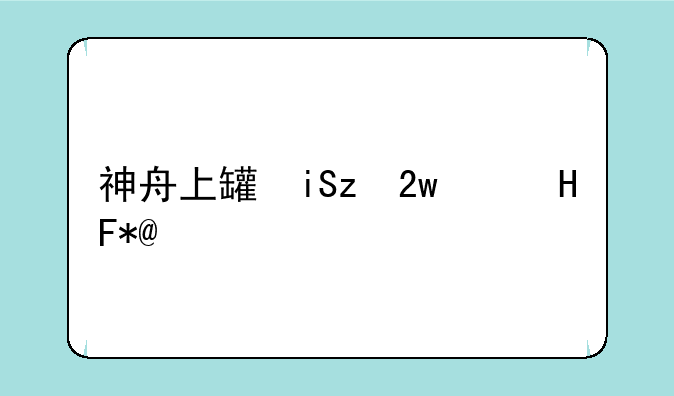 神舟上网本:神舟上网本升级