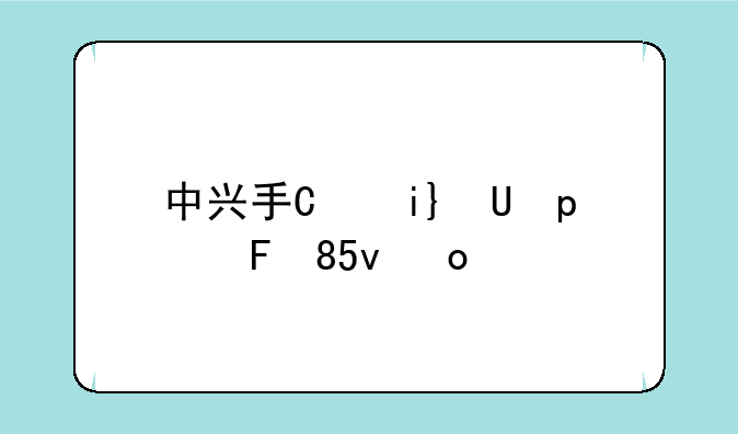 中兴手机怎么样—中兴手机怎么样值得买吗