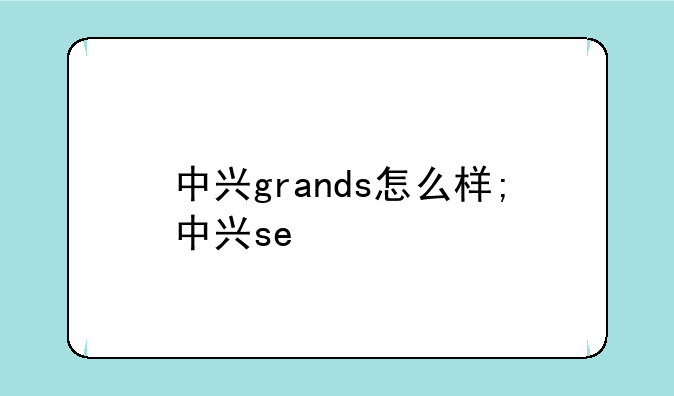 中兴grands怎么样;中兴se