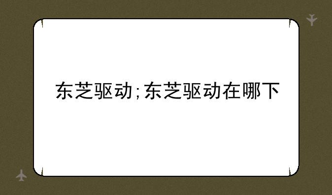 东芝驱动;东芝驱动在哪下
