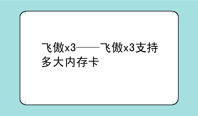 飞傲x3——飞傲x3支持多大内存卡