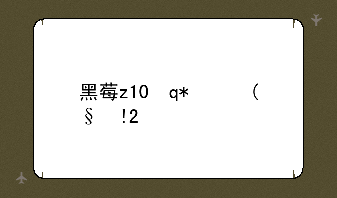 黑莓z10评测-黑莓z10-2