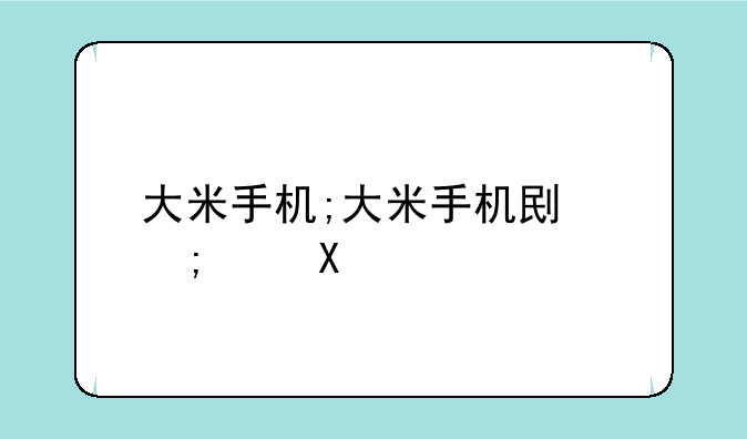 大米手机;大米手机创始人