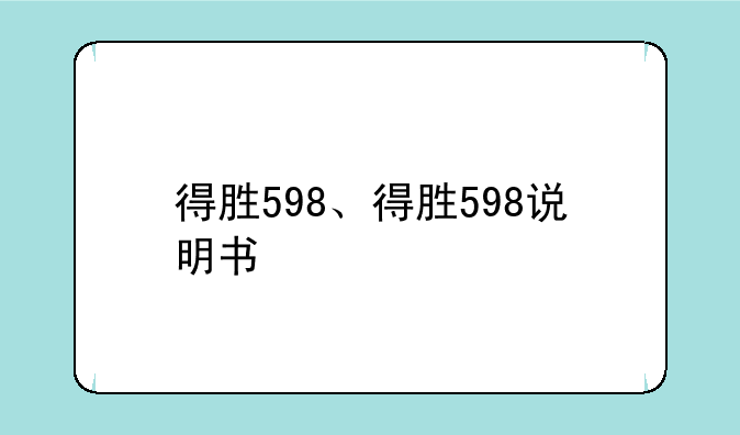 得胜598、得胜598说明书