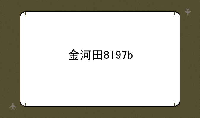 金河田8197b