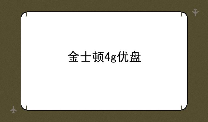 金士顿4g优盘