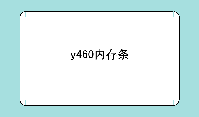 y460内存条